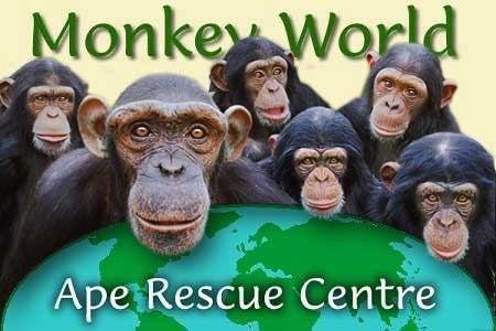 Visit Monkey World